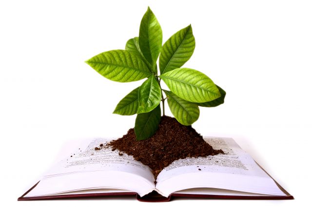 plante dans un livre