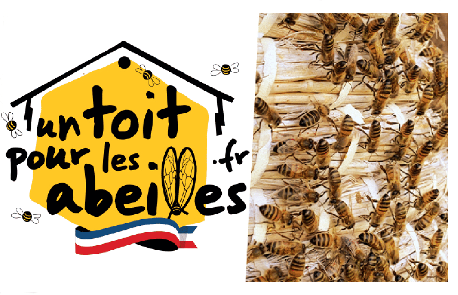 Logo un toit pour les abeilles