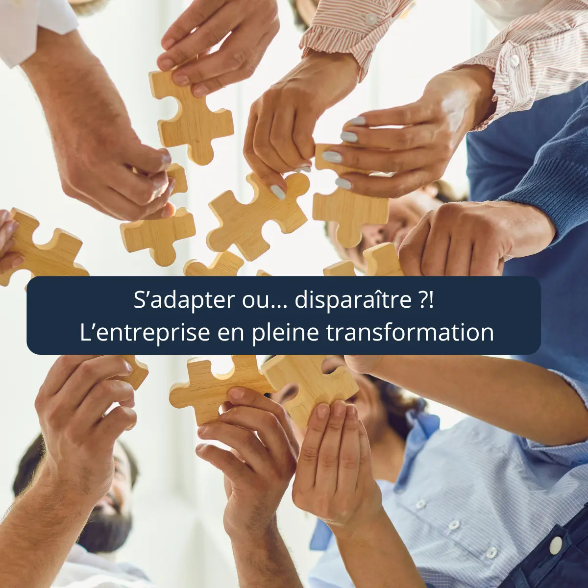 transformation entreprise